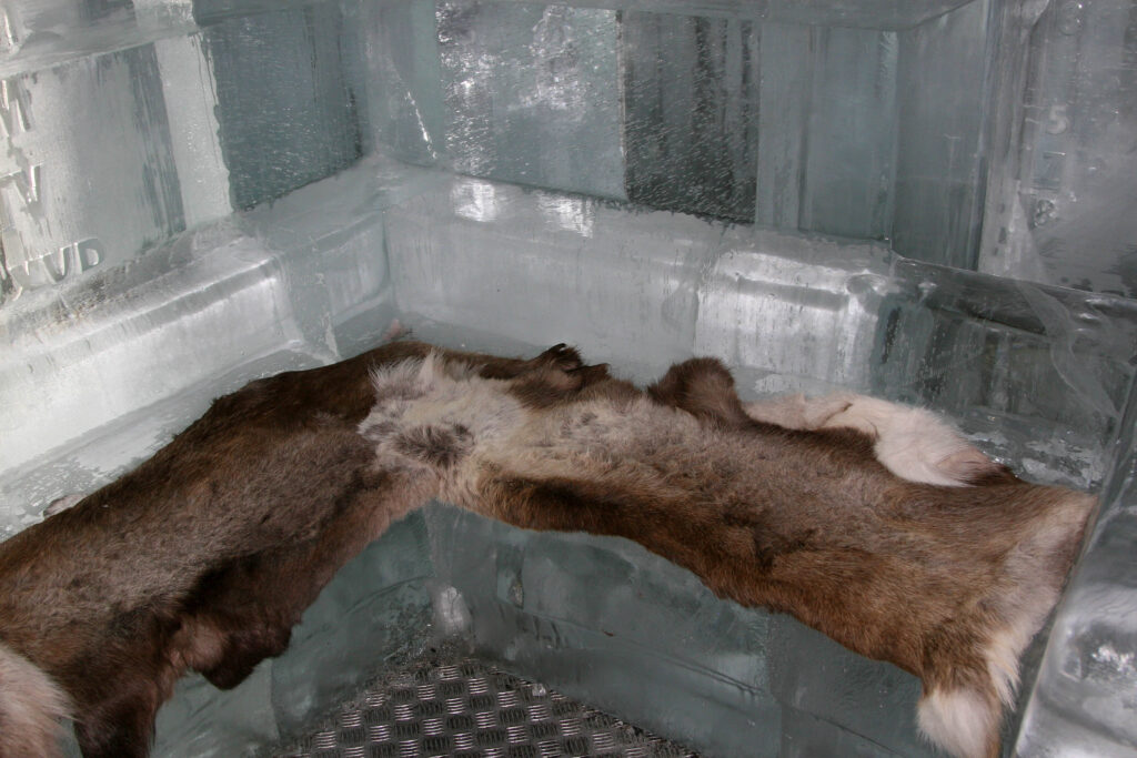 Icebar 2007 Baltic Cruise_006050