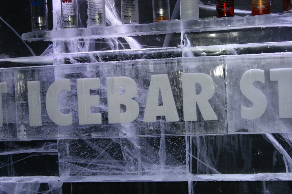 Icebar 2007 Baltic Cruise_006250